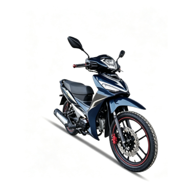 Cutting-Edge High Speed Electric Off-road Bikes