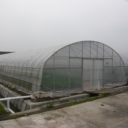 Single Span Tunnel Film Greenhouse Manufacturers and Single Span Tunnel Film Greenhouse Suppliers