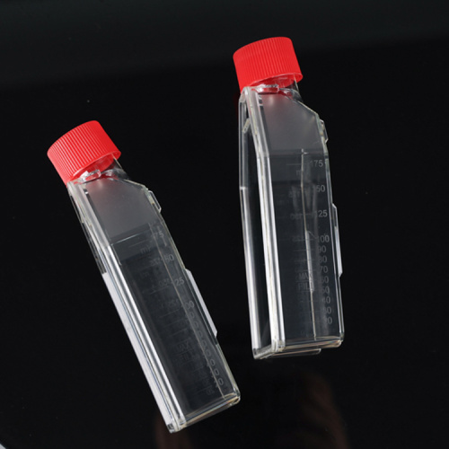 Best Cell Culture Flask, T-25, T-75, T-175 Manufacturer Cell Culture Flask, T-25, T-75, T-175 from China