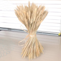 100pcs natural dried flower bouquets natural raw color dried ear of wheat bouquets&wheat ear Bunches