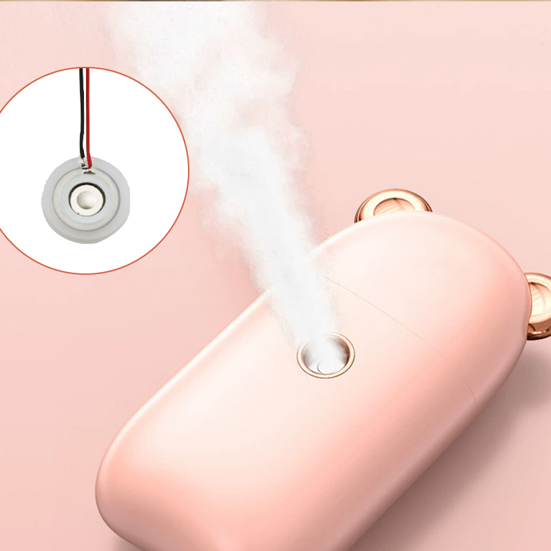 Beauty Sprayer atomizer plate 