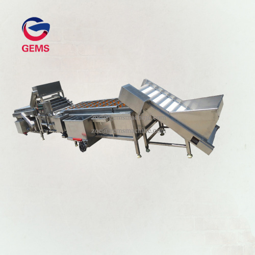 Lime Cleaning Washing Machine Lime Washer Machine for Sale, Lime Cleaning Washing Machine Lime Washer Machine wholesale From China