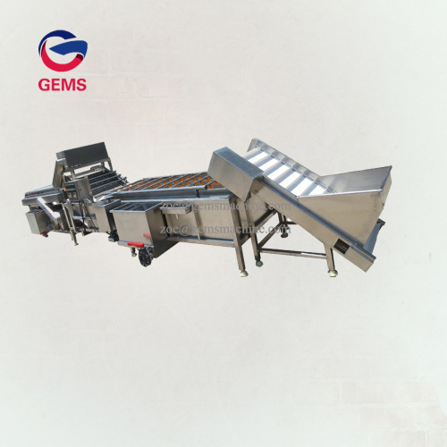 Dates Peanut Washer Machine Corn Cleaner Machine for Sale, Dates Peanut Washer Machine Corn Cleaner Machine wholesale From China