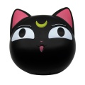 New Arrival Cute Cat Contact Lens Case With Mirror Contact Lenses Box For Man And Women Portable Holder