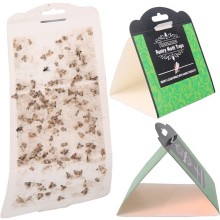 6pcs/lot Effective Pantry Food Moths Pheromone Killer Sticky Glue Pest Reject Fly Moth Trap for Moles Sticker Factory Restaurant