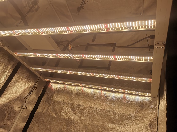 grow light bars wenyi