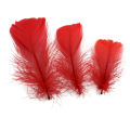 Goose Feathers 200 pcs 7-10cm DIY Indian Brooch Earring Wedding Garment Accessories IF52