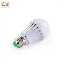 12W Led Light Bulbs With Battery Backup