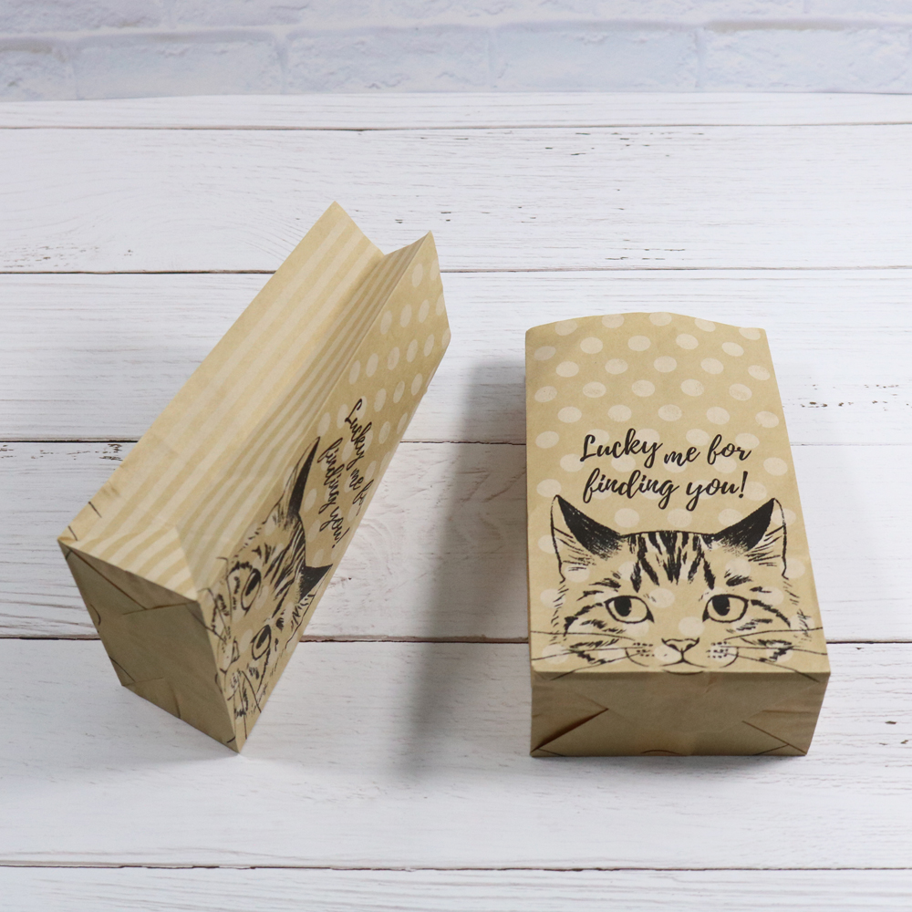 Kraft Paper bags 6pcs Cat Dots Stripes Design Paper Envelopes Stand up Portable Bag Storage Packing Pouches for Kid Book Storage