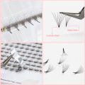 AGUUD 0.05 Sharp Pointy Stem Premade Lashes 3D/5D/6D/8D/10D/12D/14D Pre Made Russian Volume Fan Eyelash Extension Narrow Base