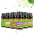 KIUNO 6pcs Gift Box Aroma Oil 10ML Essential Oils Kits Lavender Peppermint Lemon Tea Tree Eucalyptus Frankincense Oil Essential
