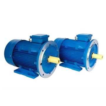 XTPMP180L30-30 Permanent magnet motor