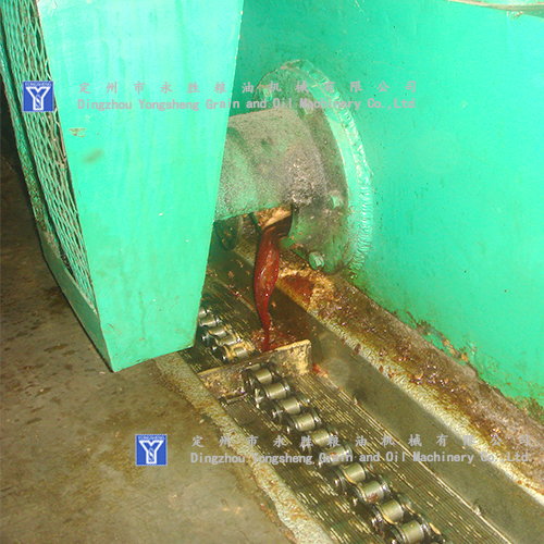 cotton seeds oil mill in India cotton seeds oil mill in India
