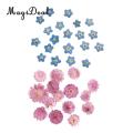 MagiDeal 20Pcs Pressed Dried Flower Dry Leaves For DIY Crafts Bookmark Cards Making