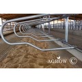 Weld Steel Tube Cattle Stalls