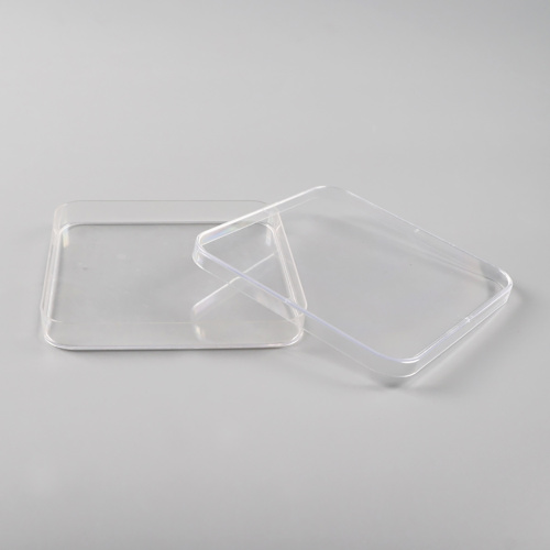 Best Square Petri Dish, 100 x 100mm without grid Manufacturer Square Petri Dish, 100 x 100mm without grid from China