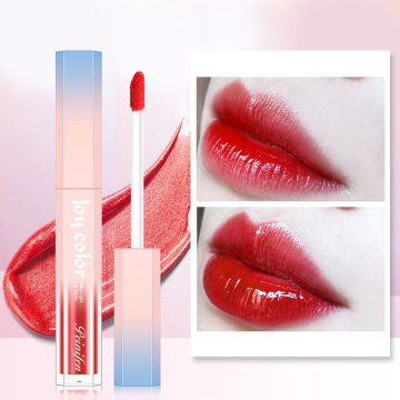 Sexy Lip Glaze Long Lasting Waterproof Moisturizing Matte Liquid Lipstick Non-stick Cup Lip Gloss Lips Tint Cosmetics TSLM1