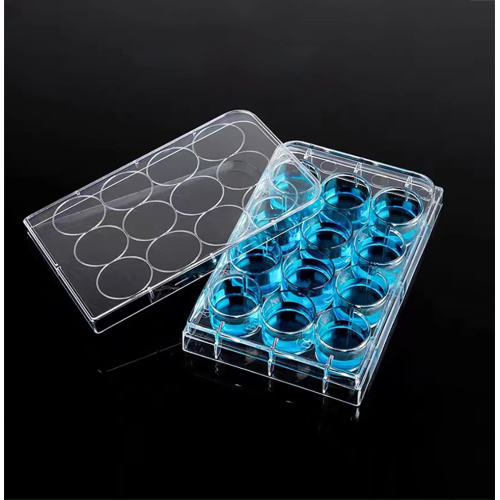 Best TC-treated Cell Culture Plates 12-Well Clear Flat Bottom Manufacturer TC-treated Cell Culture Plates 12-Well Clear Flat Bottom from China