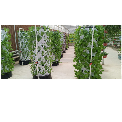 Manufacturing greenhouse smart hydroponic growing systems Manufacturers and Manufacturing greenhouse smart hydroponic growing systems Suppliers