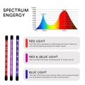 Wholesale blue red light 20W Led grow light