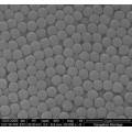 Light Diffusion Microspheres LD M050