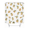 DUNXDECO Shower Curtain Bathroom Waterproof Cortinas Modern Fresh Fruit Papaya Print Polyester Fabric Ridea Artistic Decorating