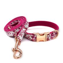 Unique printing pet collar dog leash dog accessories for pitbull bull terrier Rottweiler Free engraved pet collars