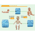 [Littles&Bloomz] Baby Washable Reusable Cloth Pocket Nappy Diaper, Select A1/B1/C1 From Photo, Nappy/Diapers Only (No Insert)