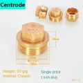 1 inch copper plug