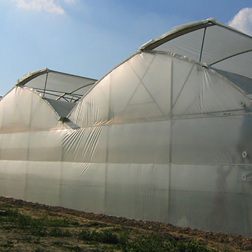 Greenhouse Polyethylene Plastic Cover Film Manufacturers and Greenhouse Polyethylene Plastic Cover Film Suppliers