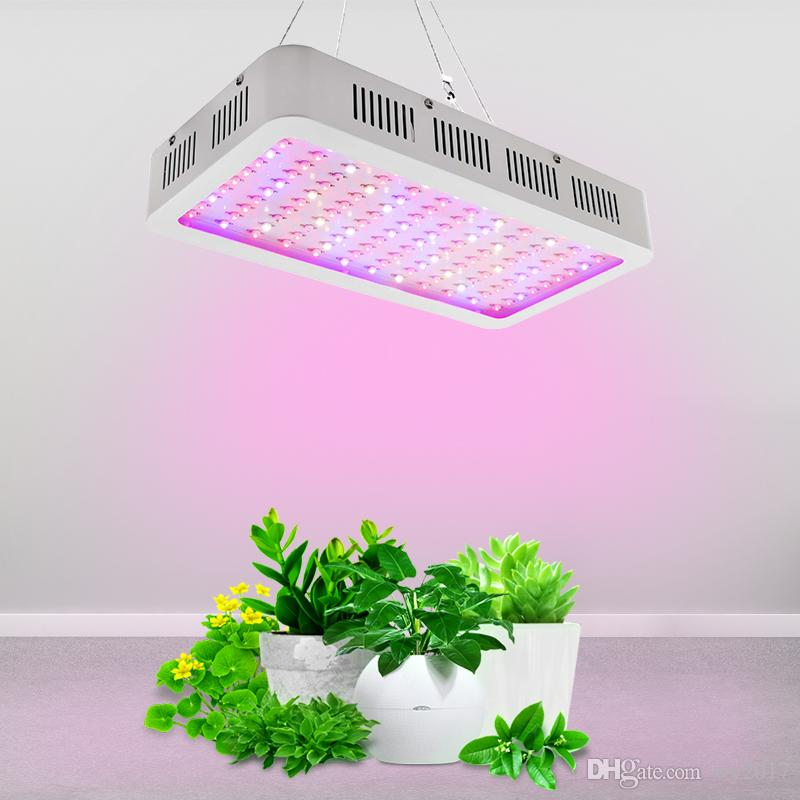 1200W grow lights per plant bulb