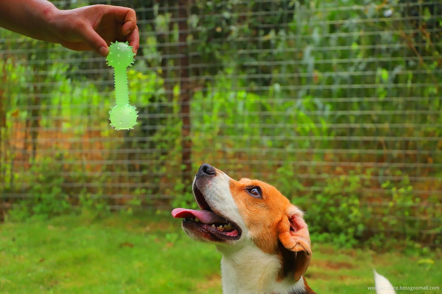 Glow In The Dark Food Leakage Interactive Chew Toys Barbell Shaped From Dog Toys Manufacturers