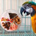 Parrot Foraging Toys Device Bird Bite Toy Wheel Shape Rotatable Birds Puzzle Feeding Food Box