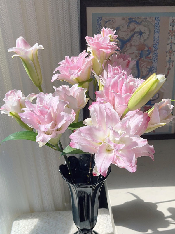 Lucky Angel Double Oriental Lily4