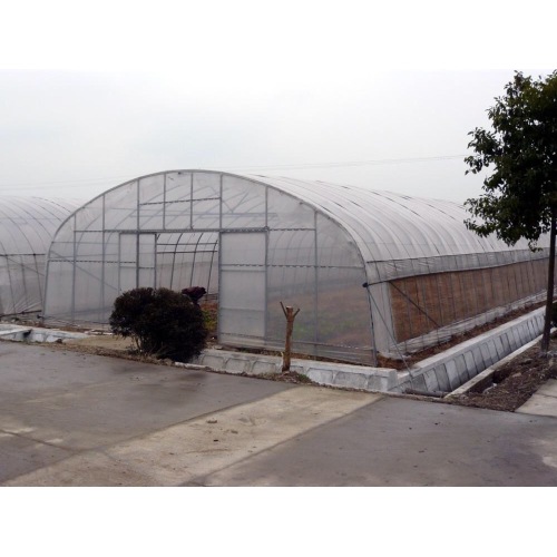 Tunnel Plastic /PE Flim Greenhouse For Vegetables Manufacturers and Tunnel Plastic /PE Flim Greenhouse For Vegetables Suppliers