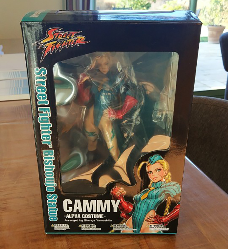 Sexy Figure Cammy Alpha Costume Chun Li Battle Costume PVC Action Figure Collectable Model Toy