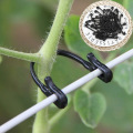 50 pcs Durable Grade Plastic Grafting Clips Grape & Kiwi Fastener Flower Vines Vegetable Bushes Plant Tendril Clip