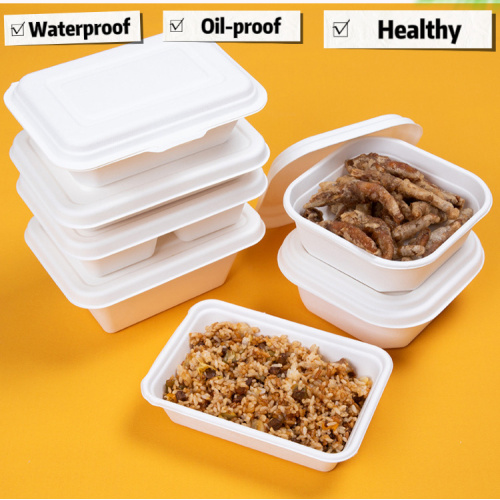 Suppliers for 100% Compostable Sugarcane pulp Lunch Box