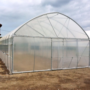 Skyplant Agriculture Greenhouse farming greenhouse equipment