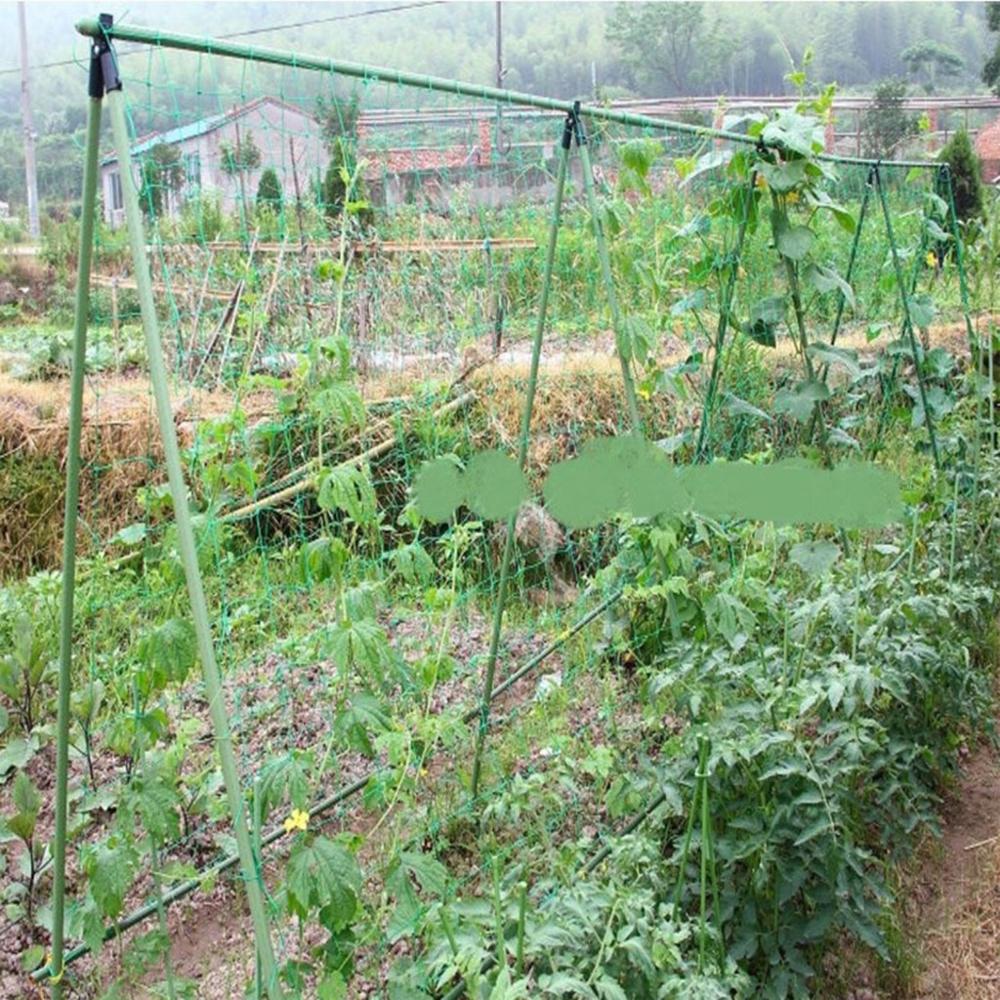 Garden Plants Climbing Net Plastic Fruit Vegetable Flower Vine Garden Cucumber Plaid Netting Grow Net Holder Supplies AD