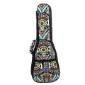 21 Inch Double Strap Hand Folk Ukulele Carry Bag Cotton Padded Case For Ukulele Guitar Parts Accessories,Blue-Graffiti