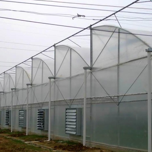 Multi Span Film Covering Greenhouse for Vegetables Manufacturers and Multi Span Film Covering Greenhouse for Vegetables Suppliers