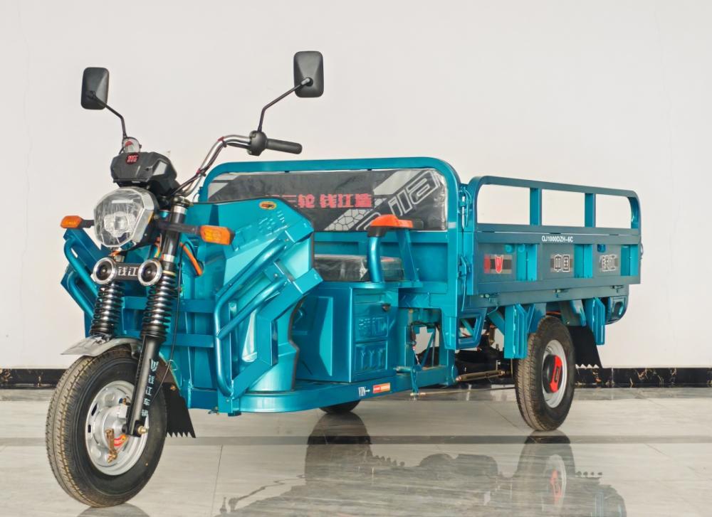 Boutique Orchard Electric Tricycle