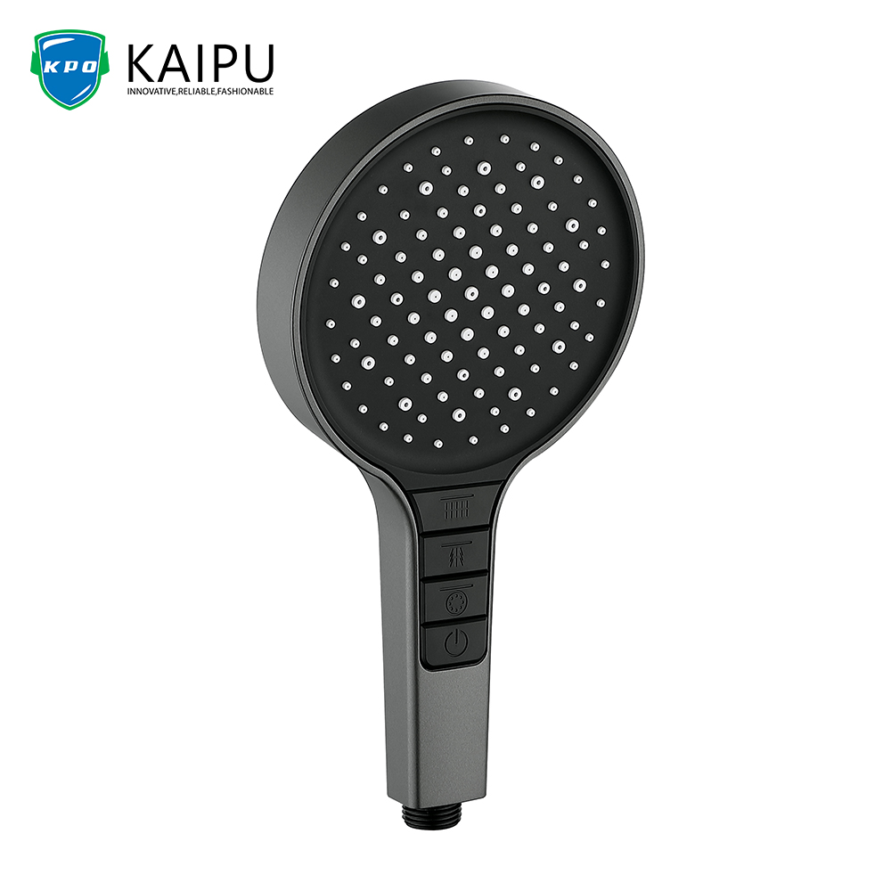 Hand Held Shower (10)