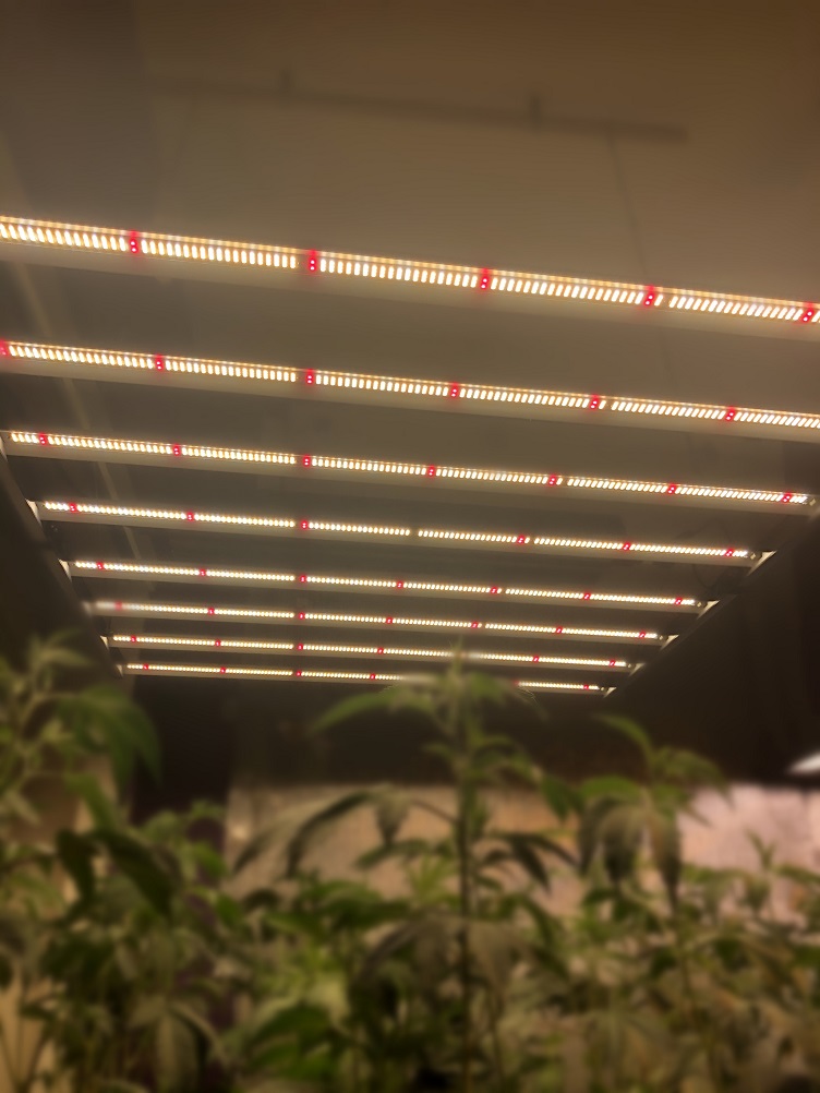 BEST Led Grow Light Strip For Herbs