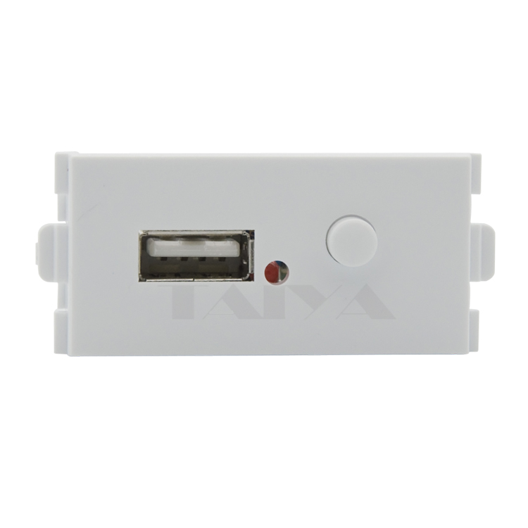 220V USB charge connector wall plate