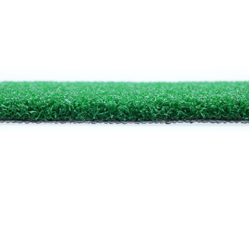 Gym grass