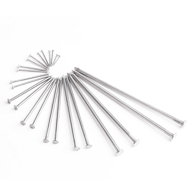 304 Stainless Steel Nail Steel Nail Carpenter Round Nail Cement Wall Nail Lengthened Small Nail 20Pcs