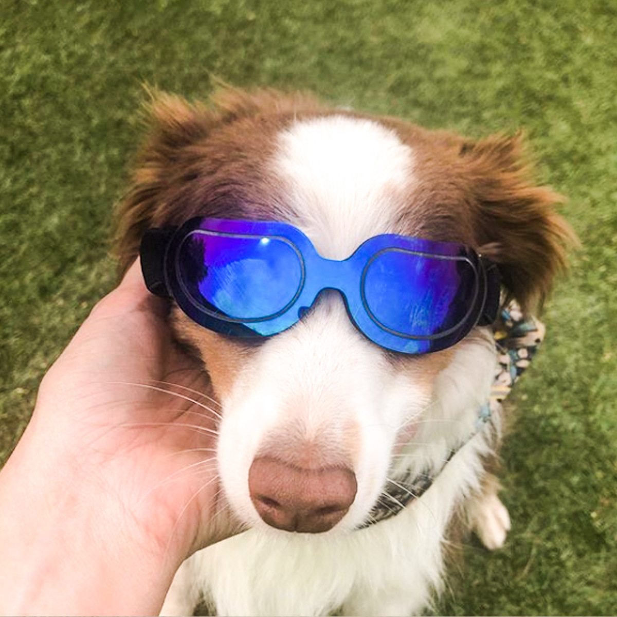 Portable Pet Dog Sunglasses UV Protection Goggles Eyewear Photo Props Cat Pet Supplies Glasses Comfortable Accessories Hot Sale