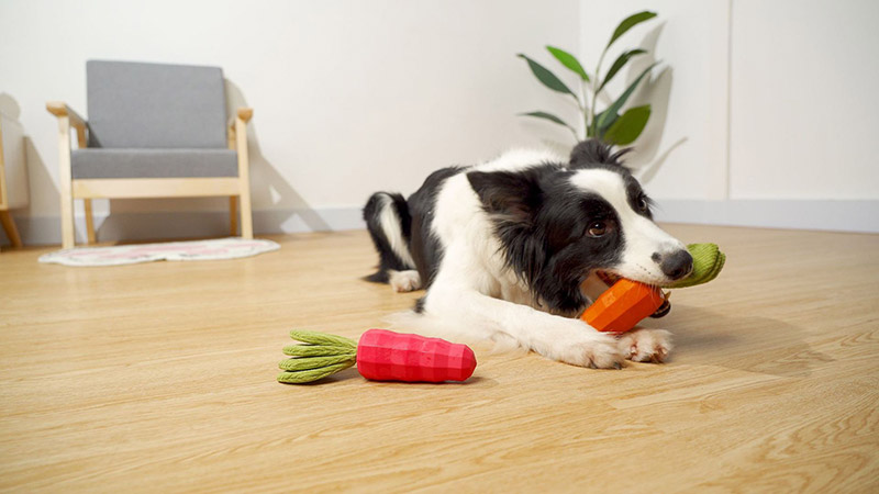Rubber Carrot Durable Pet Plastic Toy Carrot